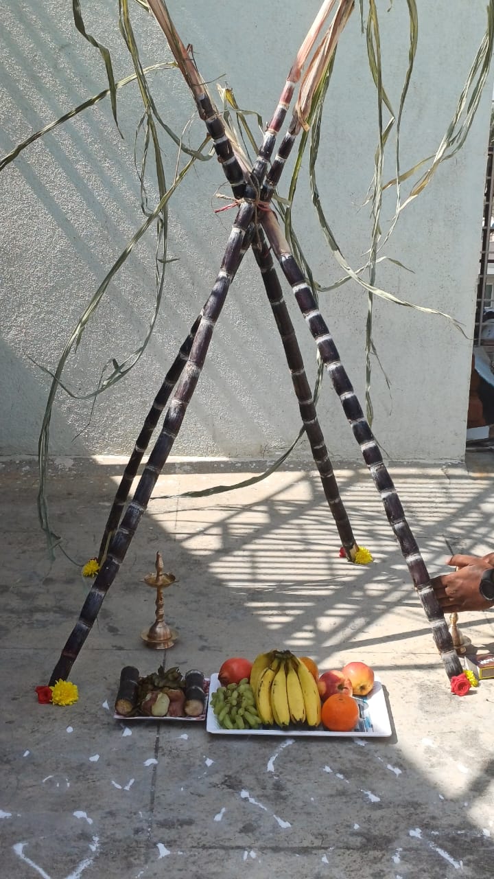 Athena Celebrations 2024